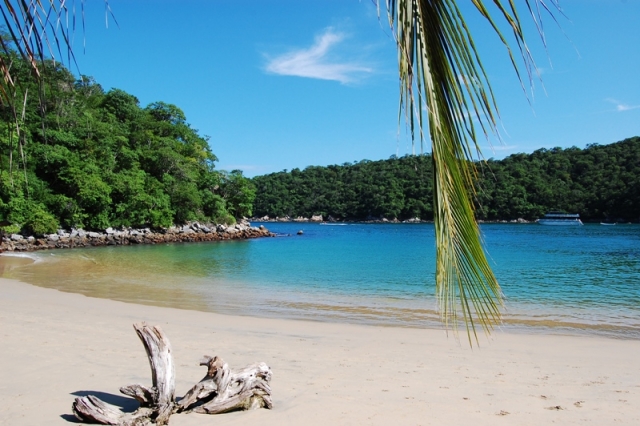  Praia com palmeiras 